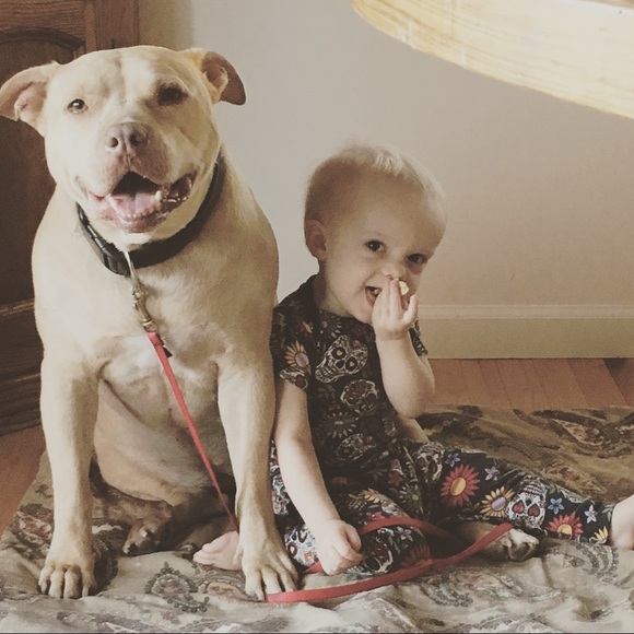 รซmรฅlyรฑรฑฤ - Picture 3 of 3